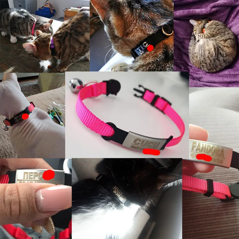 Personalized ID Tag Cat Collar Bell