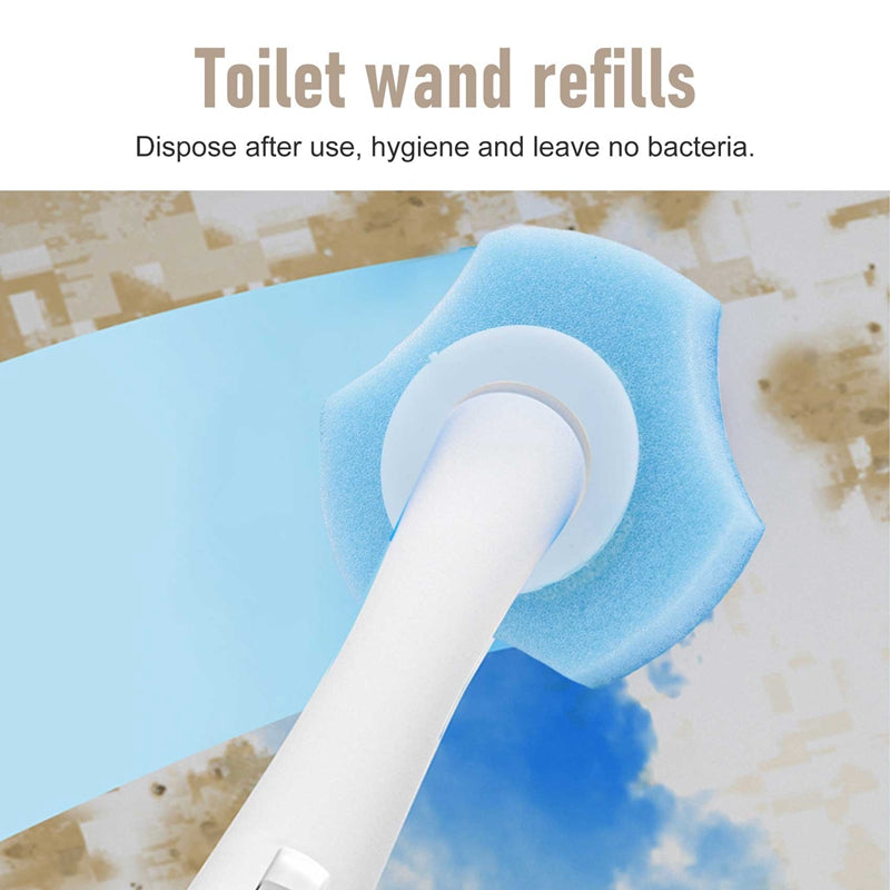 Toilet Cleaning System