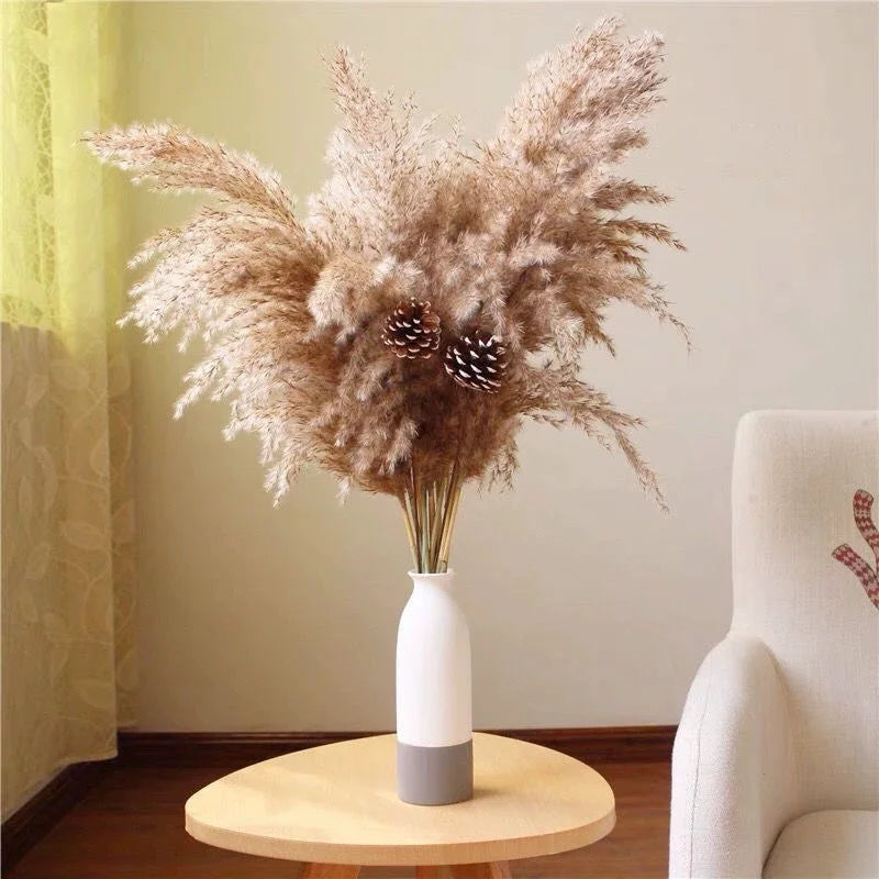 Pampas Grass Decor