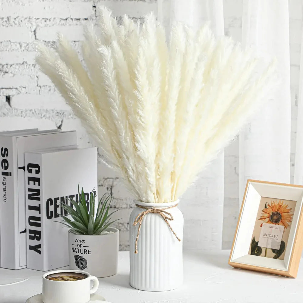 Pampas Grass Decor