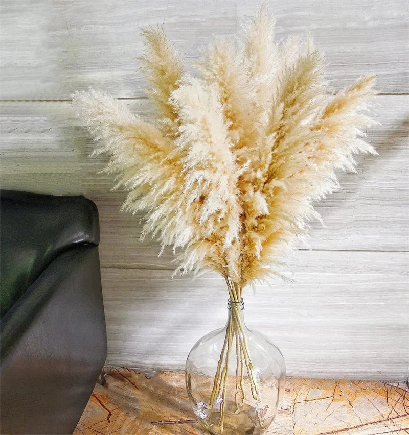 Pampas Grass Decor